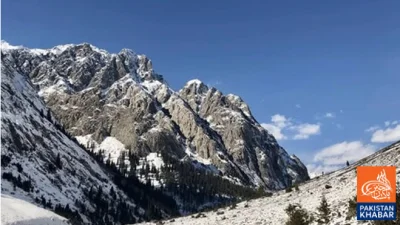 Dense Fog and Severe Cold Grip Peshawar