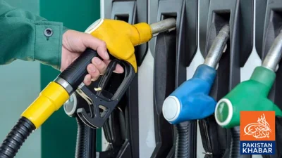 Government Launches New System to Enhance Transparency in Petroleum Sector