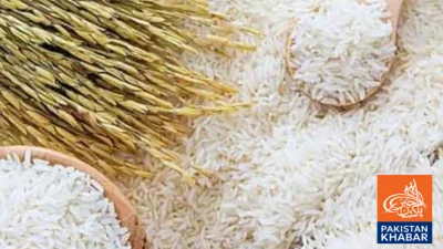 Pakistan Becomes World’s Third-Largest Rice Exporter