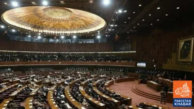 پارلیمنٹ نے دانش اسکولز، انسانی حقوق اور گھریلو تشدد بل منظور کر لیے