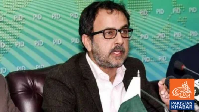 بجلی میں 70 فیصد رعایت بڑے طبقے کے لیے ممکن نہیں:وفاقی وزیر توانائی