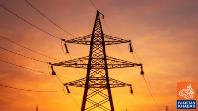 Increase in Petroleum Prices, Electricity Rates Likely to Rise