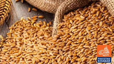 ECC Approves Sale of 500,000 Metric Tons of PASCO Wheat via Competitive Bidding