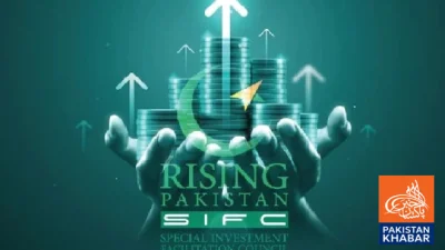 Government’s Economic Reforms: PIA and National Institutions Privatization Program Underway