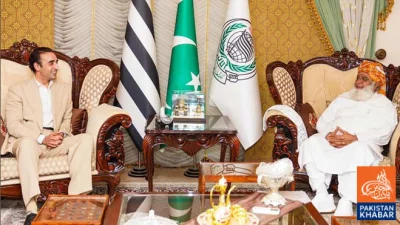 PPP Invites Maulana Fazlur Rehman for Partnership in Sindh and Balochistan