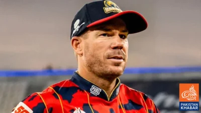 Warner in Trouble, New South Wales Pledges Support