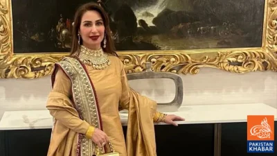 Disrespect to Artists Is Regrettable: Reema Khan Reacts to Meera and Resham Controversy