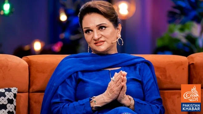 Bushra Ansari expresses concern over growing population