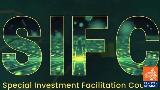 Under SIFC, Pakistan’s IT sector shows significant growth, boosting digital economy