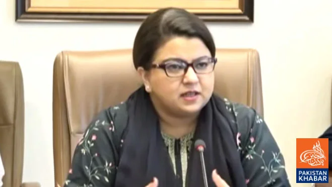 Pakistan and Chinese company sign agreement on digital infrastructure and AI cooperation