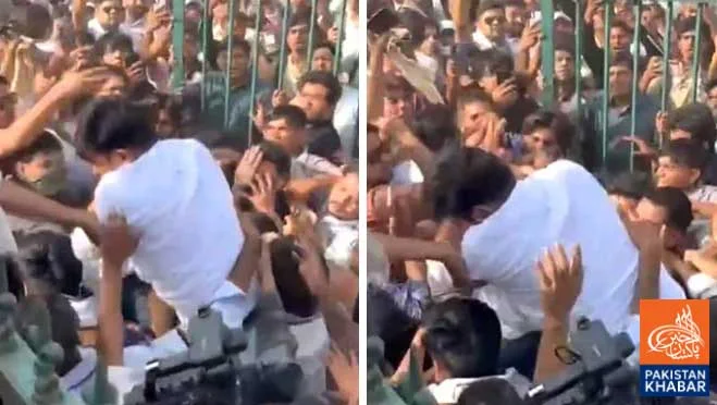 Violence During Protest in Jaipur, Founder of “Cockroach Janta Party” Attacked