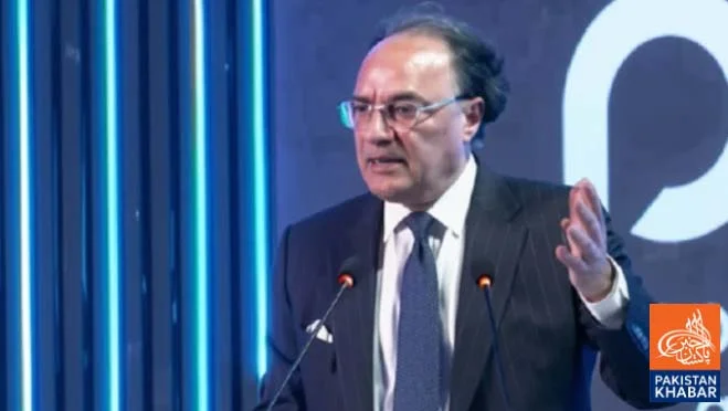 Govt Speeds Up Privatization of 28 Entities