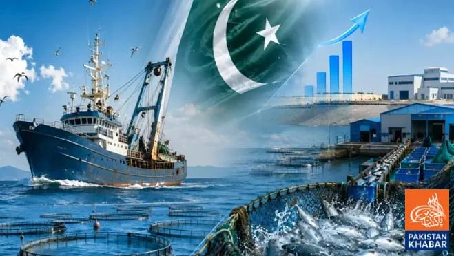 Pakistan Plans Shrimp Farming Expansion to Boost Exports and Employment