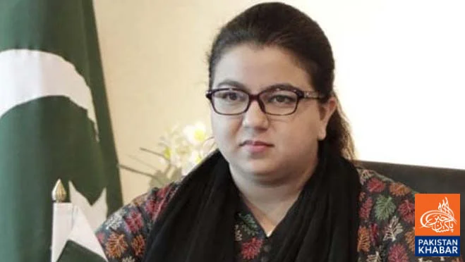 Google Office in Pakistan Marks Key Digital Shift: Shaza