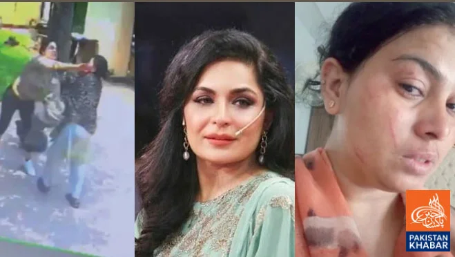 Actress Meera, Maid Fight Video Goes Viral