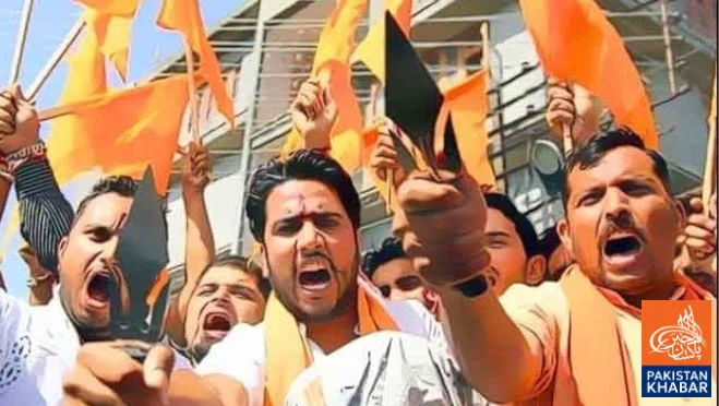 US Commission Calls for Ban on RSS