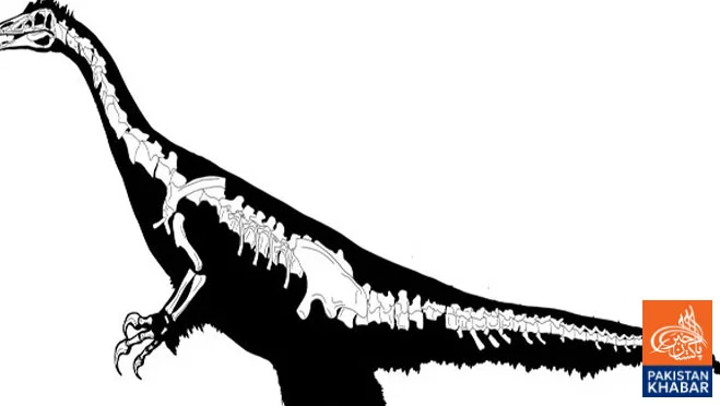 New Species of Long-Clawed Dinosaur Discovered in China