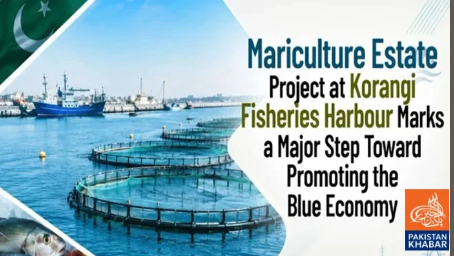 Plan to Establish Mariculture Estate at Korangi Fisheries Harbour