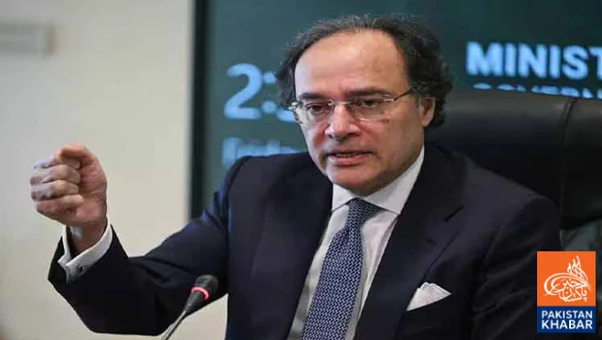 Benefits of Climate Projects Should Reach the People: Muhammad Aurangzeb