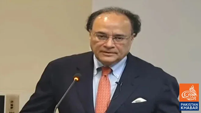 وزیر خزانہ کا اشیائے ضروریہ کی قیمتوں میں اضافے کا خدشہ، توانائی کی فراہمی پر بھی اظہارِ خیال