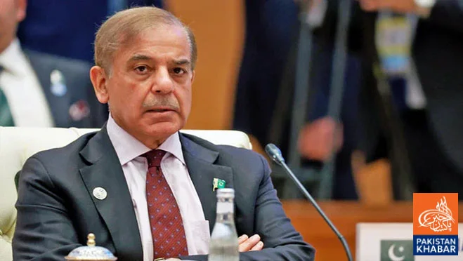 وزیراعظم شہباز شریف کا 30 نومبر سے روس کا چار روزہ دورہ متوقع، صدر پوتن سے ملاقات ہوگی