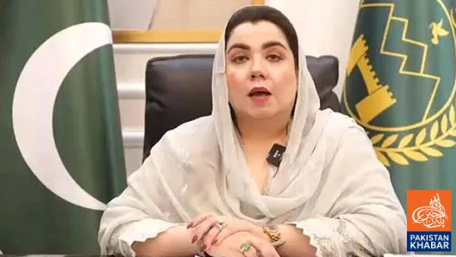 خیبرپختونخوا میں انسانی حقوق کی شکایات کیلئے ڈیجیٹل پورٹل کا فیصلہ