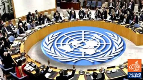 UN experts issue strong warning over settler violence in the West Bank