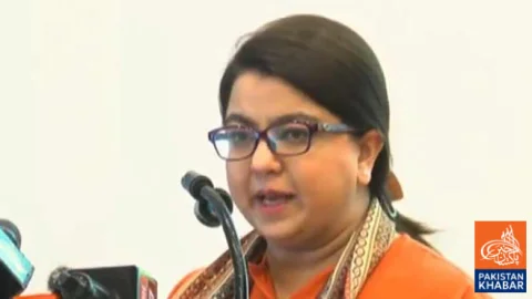 Promotion of Artificial Intelligence education in Pakistan will create new job opportunities for youth: Shaza Fatima Khawaja
