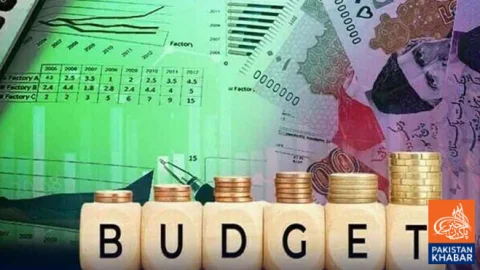Budget proposals await IMF approval; Finance Ministry continues consultations