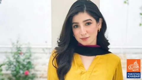 مریم نفیس کا خواتین سے متعلق واقعات پر ردعمل، سوشل میڈیا پر بحث چھڑ گئی