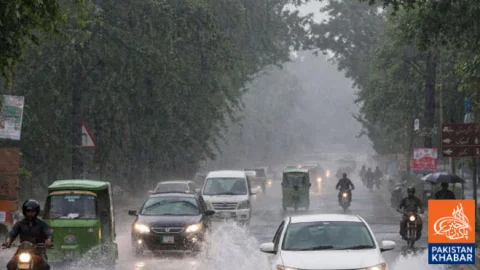 Stormy winds and rain expected in Punjab, Meteorological Department issues alert