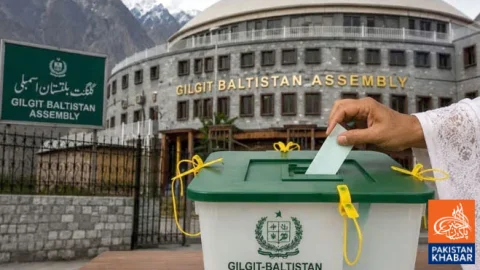 Gilgit-Baltistan Elections: Final Results of 3 Diamer Constituencies Announced, Independent Candidates Join Governing Party