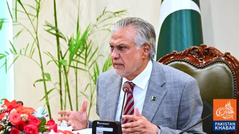 India Trying to Use Water as a Weapon, Will Face Serious Consequences: Ishaq Dar