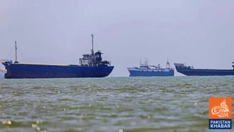 Turkish cargo ship bound for Ukraine attacked by Russian drone, Egyptian citizen killed