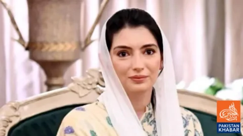 آصفہ بھٹو کا خواتین سفارت کاروں کی خدمات کو خراجِ تحسین