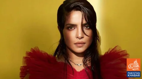 فلمی سفر کے آغاز میں کئی مشکلات کا سامنا کرنا پڑا، پریانکا چوپڑا
