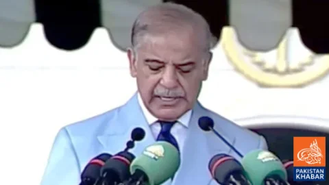 پاکستان اپنی سرزمین پر بیرونی دہشت گردی کے خاتمے کے لیے پرعزم ہے: وزیراعظم شہباز شریف