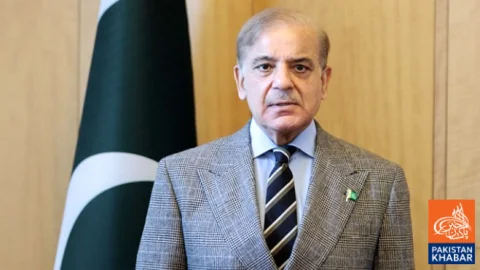 Constitution Guarantees Democracy And Democratic Values Says Shehbaz Sharif