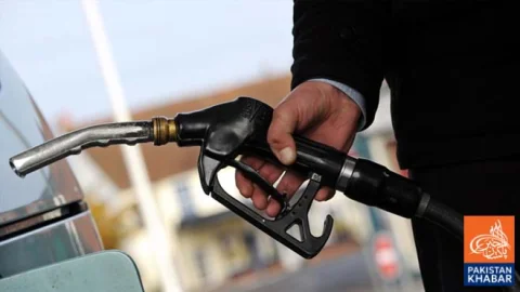 Oil Firms Tax Evasion Probe Begins
