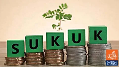 Government Decides to Issue Hybrid Sukuk Bonds in Current Fiscal Year