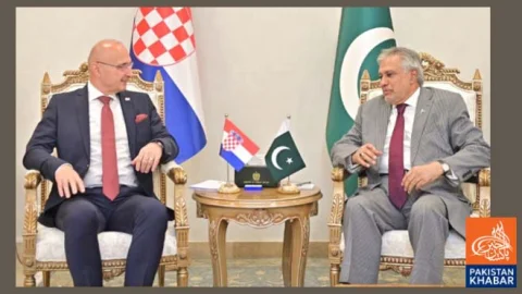 EU Is Pakistan’s Strong and Important Trade Partner: Ishaq Dar
