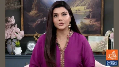 Nida Yasir's Remarks Spark Social Media Debate