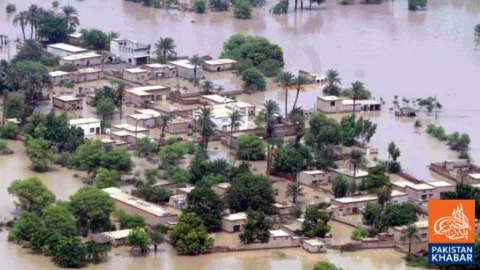 Pakistan’s Wetlands Face Growing Environmental Crisis