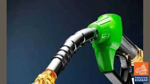 Daily Petrol Price System Proposed, Pump Owners Protest