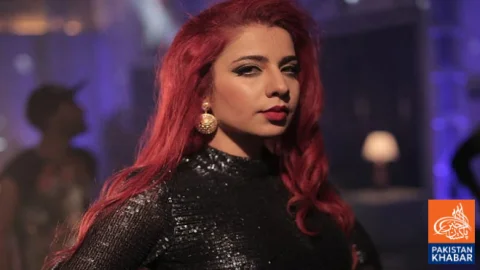 Fans Raise Safety Concerns After Jasmine Sandlas Concert