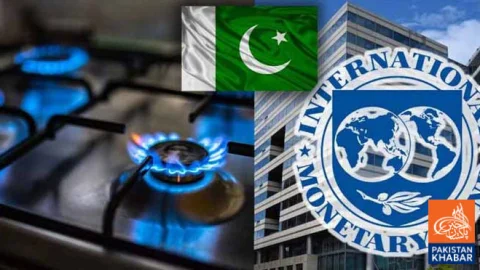 IMF Proposes New Conditions for Gas Circular Debt Solution