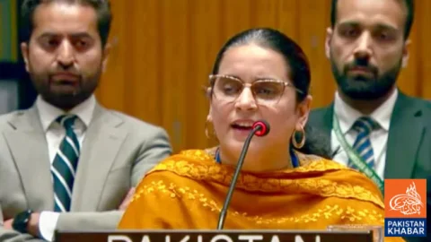 Pakistan Calls Kashmir an International Dispute at UN
