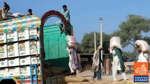 Wheat Import Plan Approved to Curb Rising Flour Prices in Pakistan