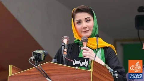 Maryam Nawaz Accuses PPP of Making Rigging Allegations Despite History