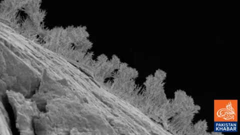 New Underground World of Life Discovered Deep Inside Earth